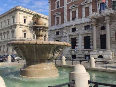 Al centro si erge una sinuosa struttura che richiama motivi floreali e alla cui estremit� si trova una pigna da cui fuoriesce un forte getto. L�acqua va poi a raccogliersi prima in una vasca pi� piccola, dalla quale poi trabocca riversandoci nel bacino pi� grande